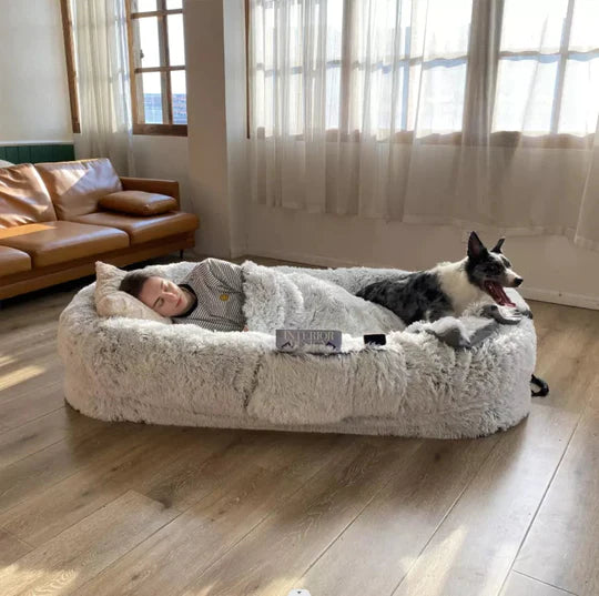 Ensemble de lits pour chiens humains
