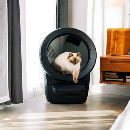 Nettoyeur de litière pour chat